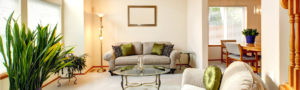 Living room with plants and furniture