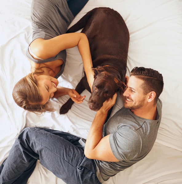 Top view of happy young family relaxing on bed together. Man and woman with pet dog in bedroom.