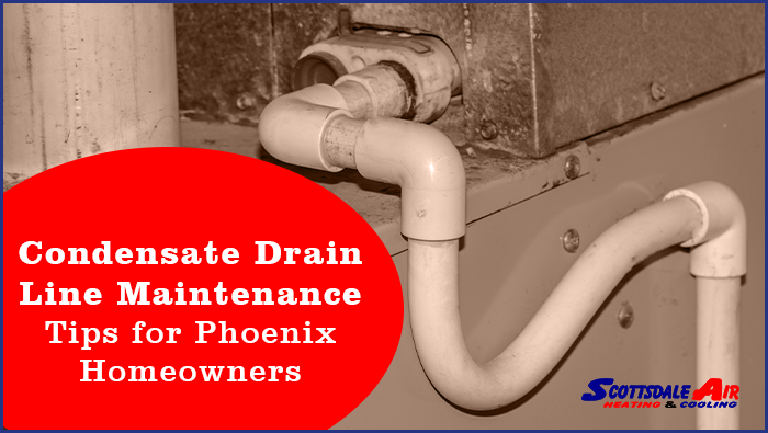 Condensate Drain Line Maintenance Tips for Phoenix Homeowners