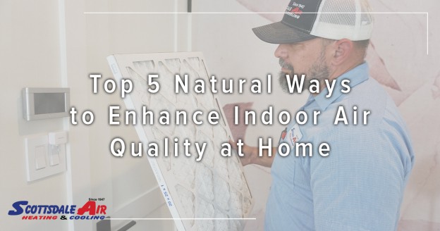 Top 5 Natural Ways to Enhance Indoor Air Quality at Home